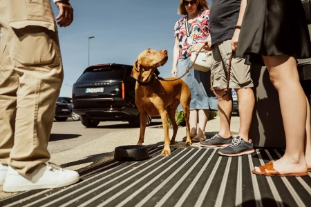 SHOWROOM & TEST DRIVE EXPERIENCE