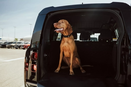 SHOWROOM & TEST DRIVE EXPERIENCE