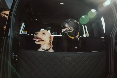 SHOWROOM & TEST DRIVE EXPERIENCE