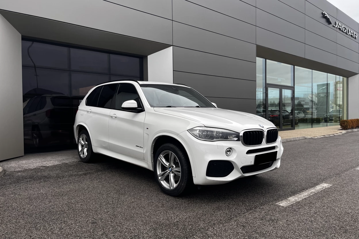 BMW X5 xDrive30d A/T obrázok č. 2