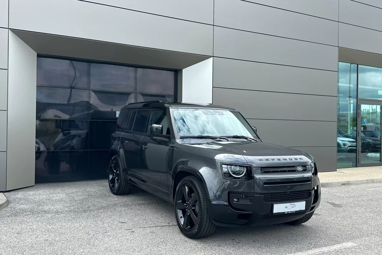 Defender X-Dynamic SE MHEV D250 obrázok č. 1